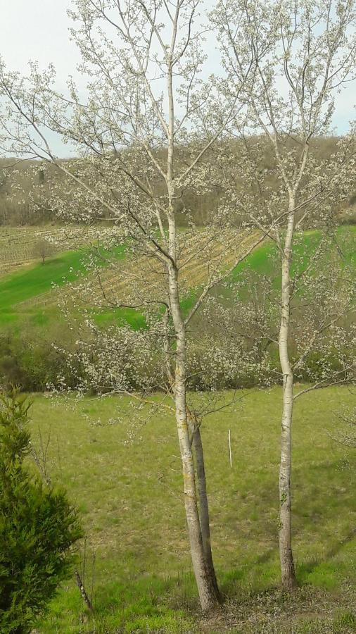 Taillefer Bed & Breakfast Saint Paul de Loubressac Exterior foto